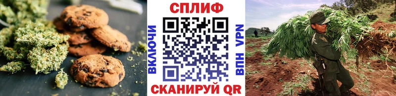 Купить где  Каменск-Шахтинский  Canna-Cookies конопля 