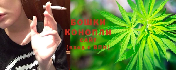 прущие грибы Заводоуковск