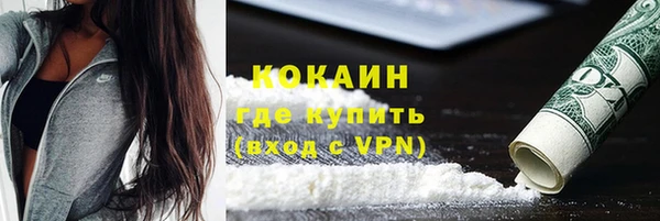 прущие грибы Заводоуковск