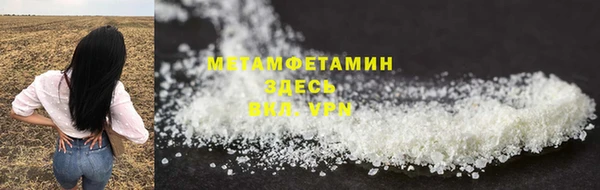 прущие грибы Заводоуковск