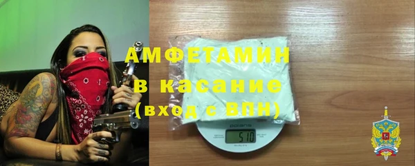 прущие грибы Заводоуковск