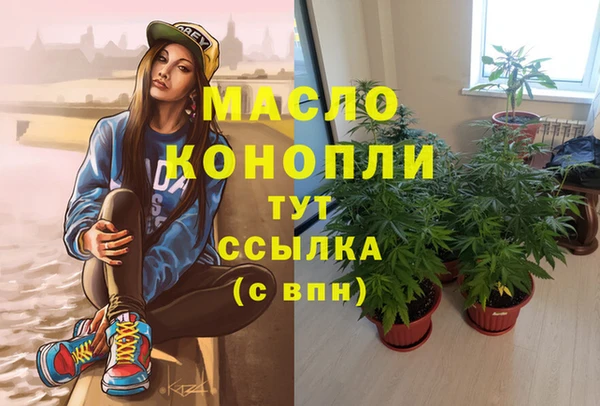 прущие грибы Заводоуковск