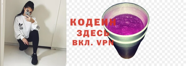 прущие грибы Заводоуковск
