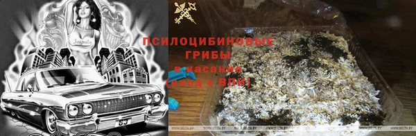 скорость Заволжье