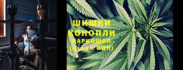 прущие грибы Заводоуковск