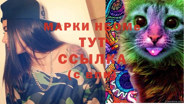 скорость Заволжье