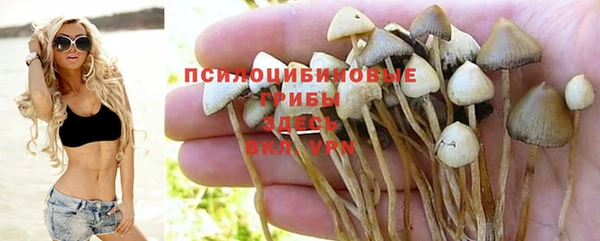 скорость Заволжье